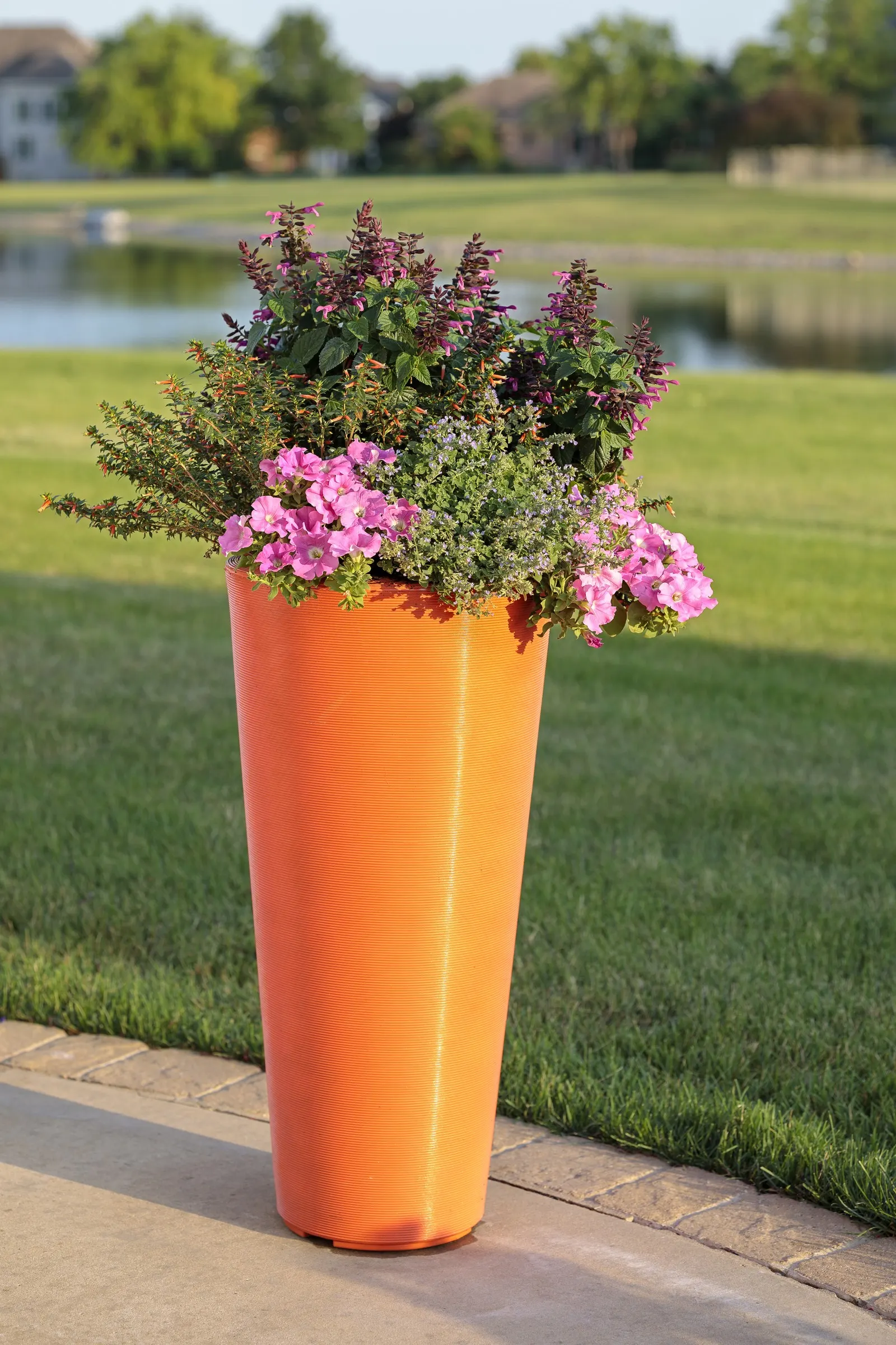 Vermillionaire® Large Firecracker Plant (Cuphea ignea) — Part of the Proven Winners® collection; tubular blooms in glowing orange