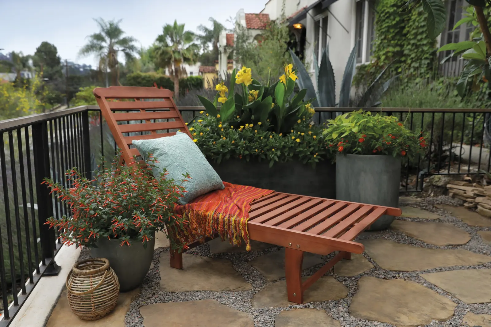Citrus Blend™ II Lantana (Lantana camara) — and deadheading is generally not necessary