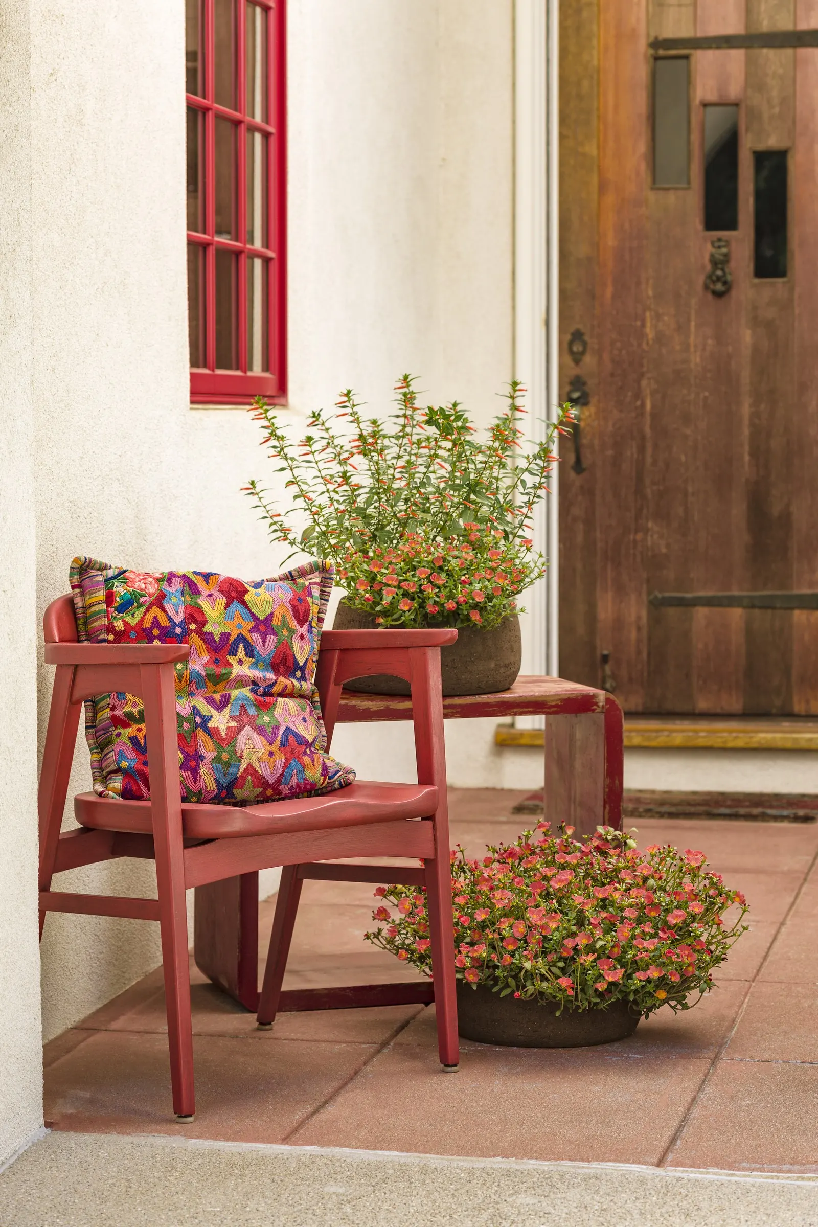Red II Purslane (Portulaca umbraticola) — and deadheading is not necessary