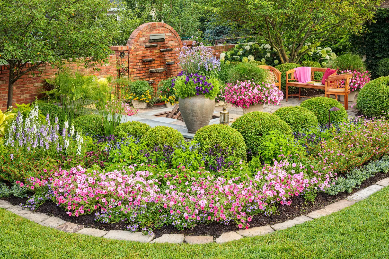 Berry Blend™ Lantana (Lantana camara) — information and resources