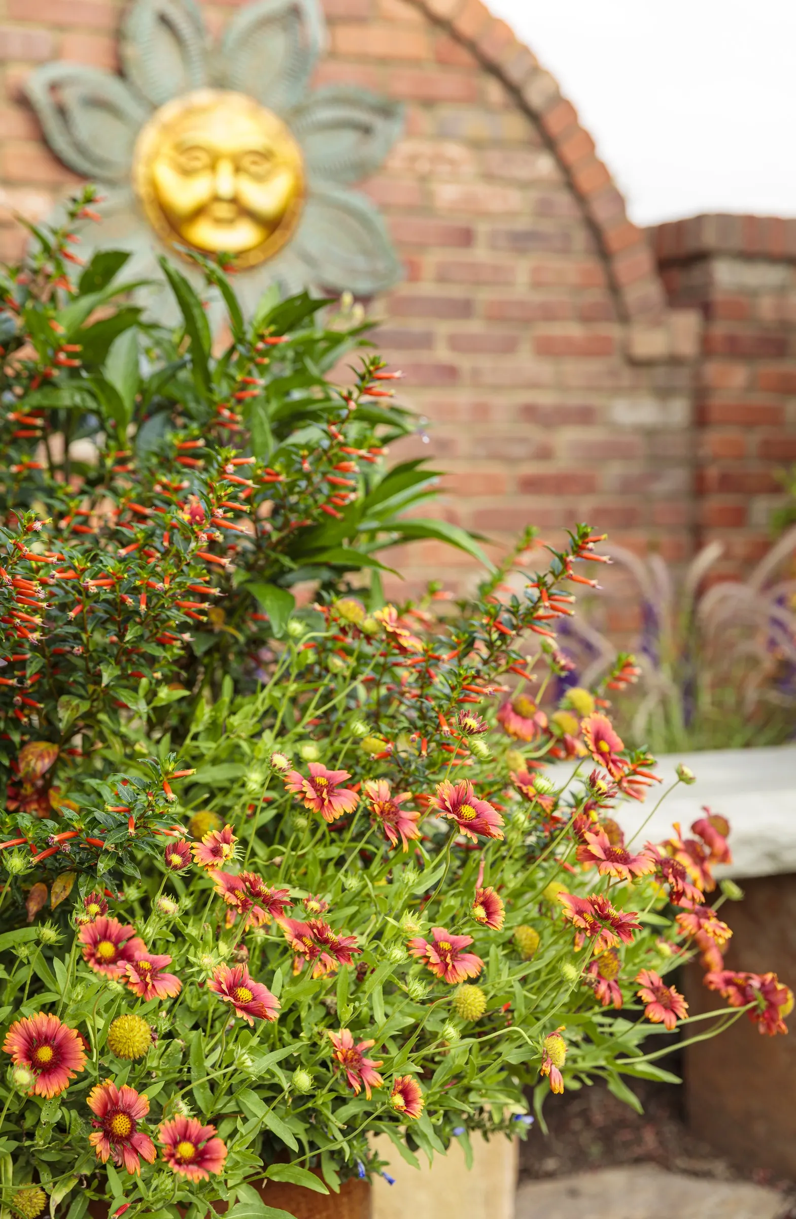 Super White Summer Snapdragon (Angelonia) — tolerating both short dry spells and occasional wet conditions; airy quality—delicate enough to soften mixed