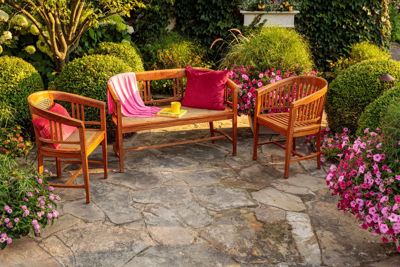 Bubblegum® II Petunia — These are heat tolerant plants; your plant will take a week to recover from the trim