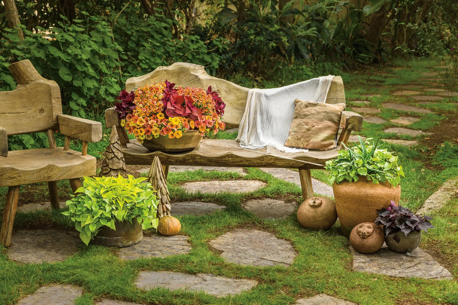 Sedona Sunset® Coleus (Coleus scutellarioides) — and a long season of effortless color; a useful trait for designers working with exposed entries or large
