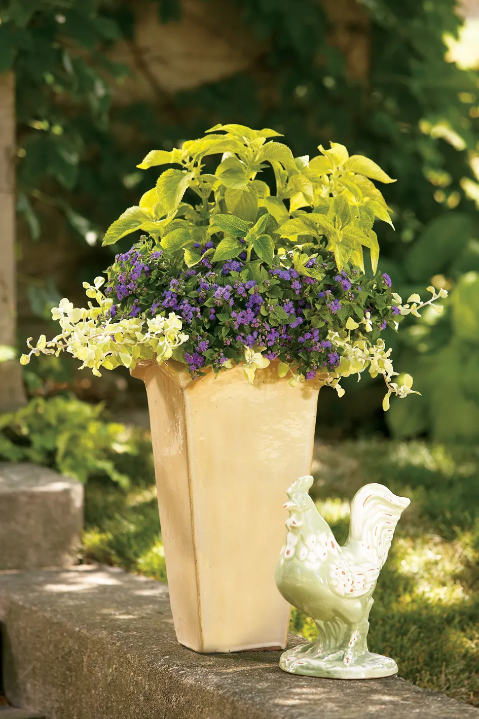 Blue Flossflower (Ageratum) — Proven Winners - Artist® Blue - Flossflower - Ageratum blue purple blue-purple plant details; making this annual flossflower