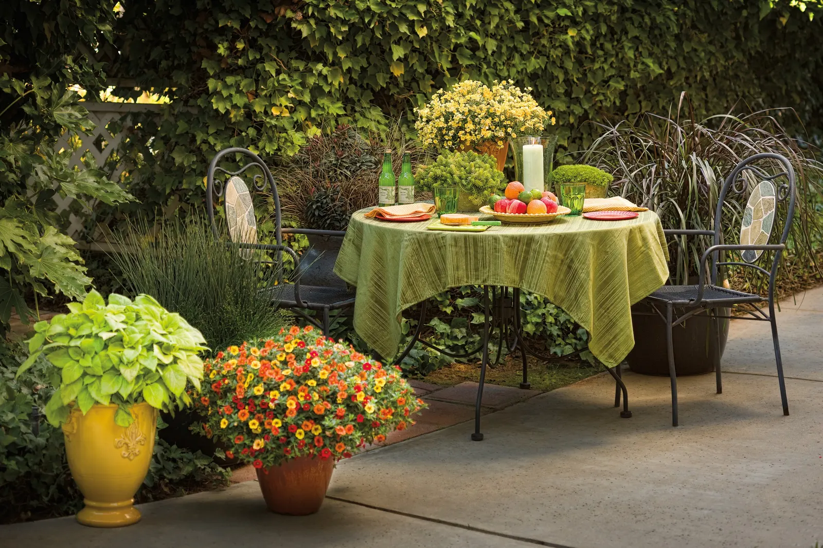 Red II Calibrachoa — or crisp white euphorbia for high-contrast compositions