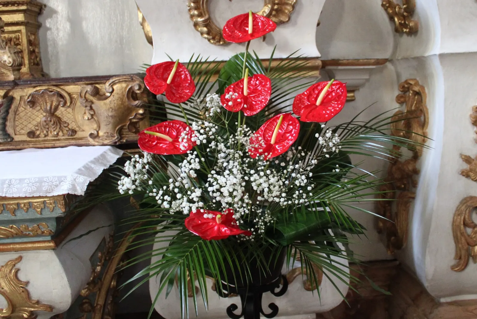Premier™ (Anthurium hybrid) — is a distinctive tropical houseplant grown for its dramatic
