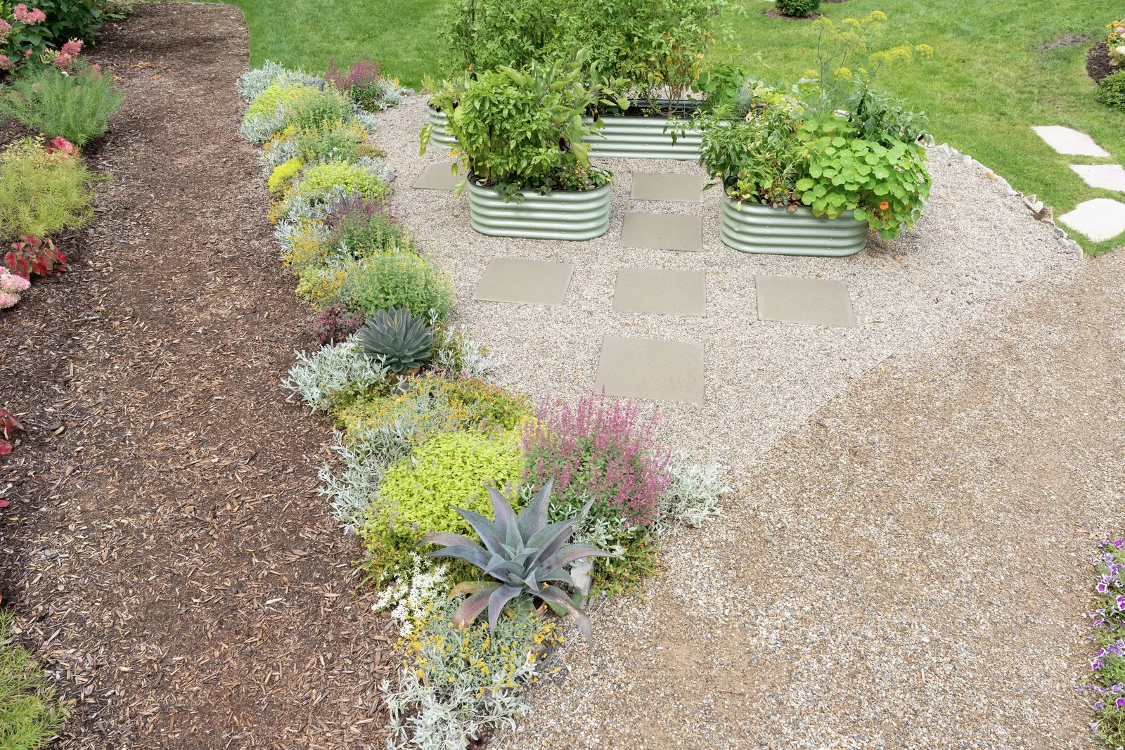Gold hummingbird mint (Agastache) — Proven Winners - Maestro® Gold - hummingbird mint - Agastache yellow golden yellow plant details