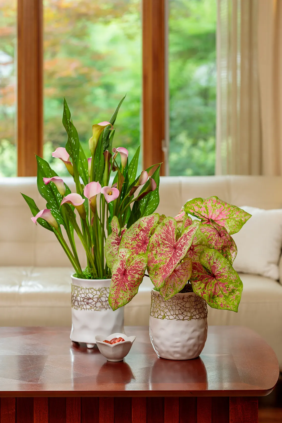 First Love Calla Lily (Zantedeschia) — It grows 18-24 inches tall and 9-12 inches wide, making a refined thriller in containers or borders