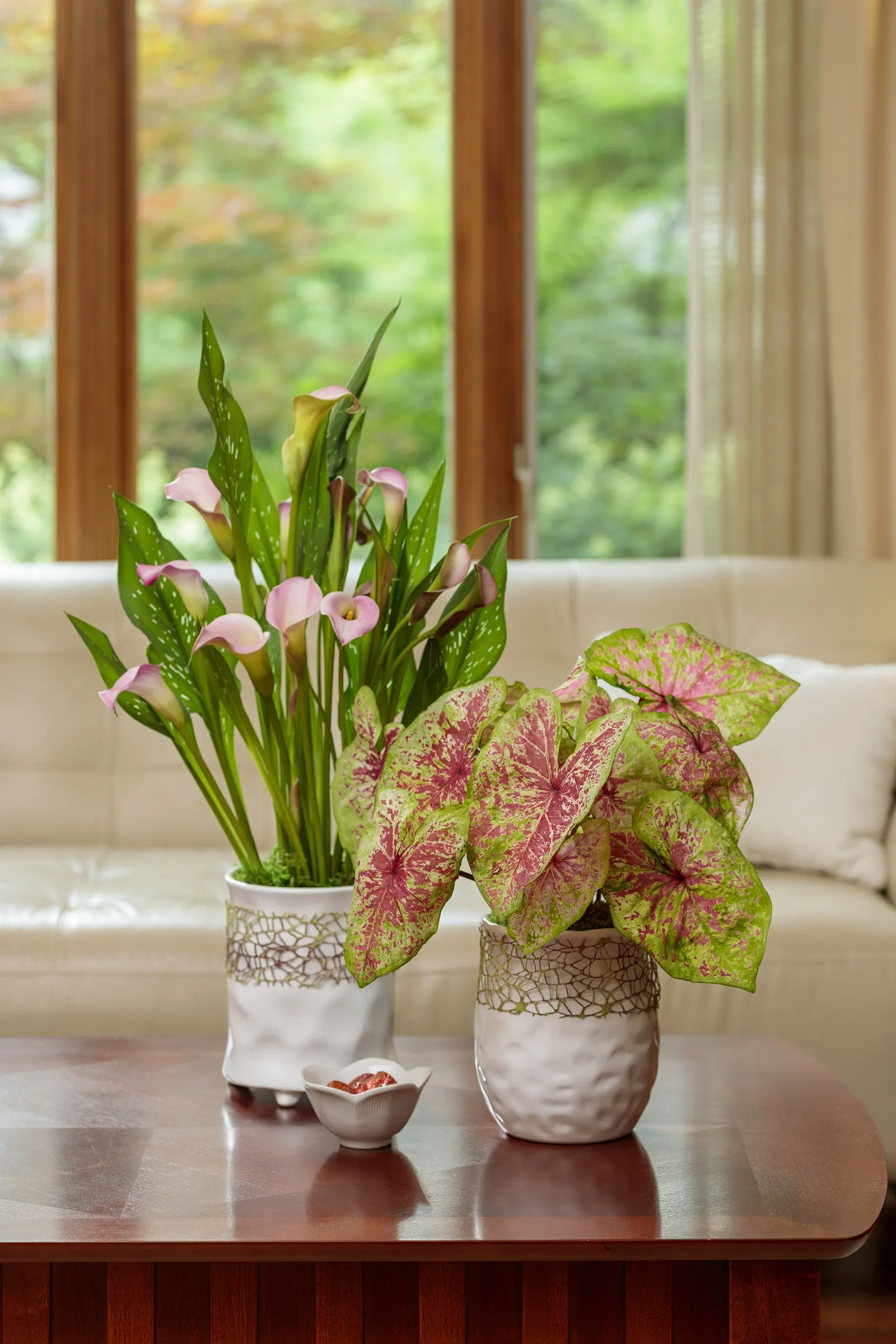 Princess Calla Lily (Zantedeschia) — The Zantedeschia 'Princess' is a soft pink Calla Lily with elegant