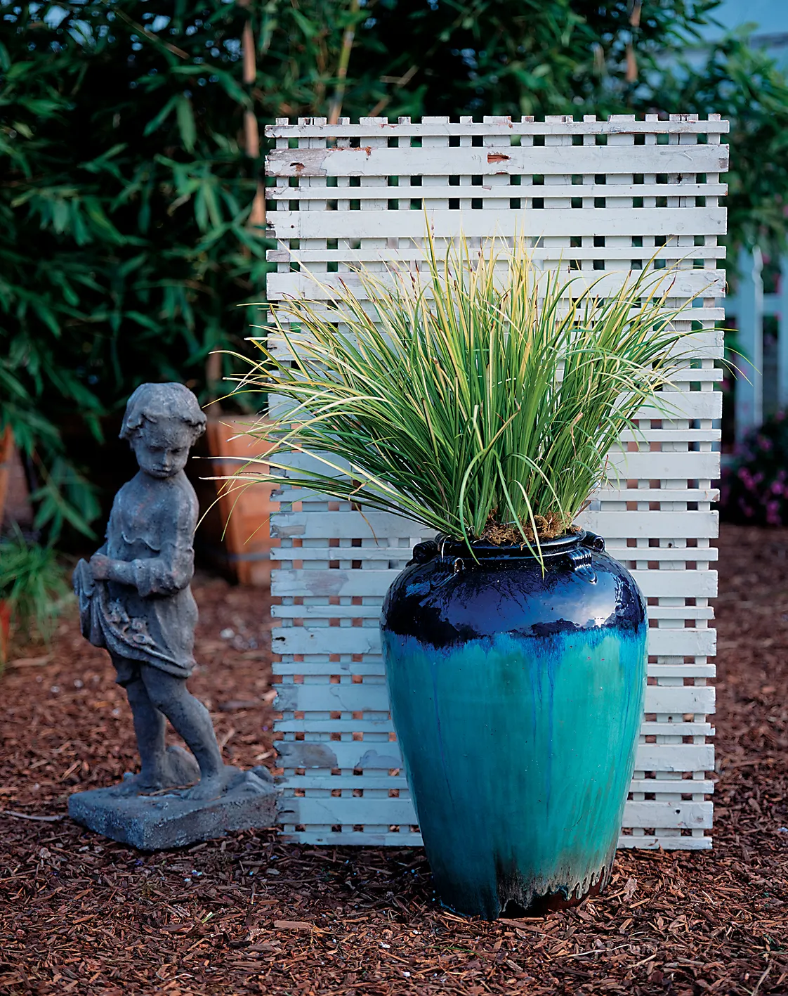 Ogon Golden Variegated Sweet Flag (Acorus gramineus) — ‘Ogon’ is a maintenance free perennial that grows well in sun or shade., Acorus is a neutral grass