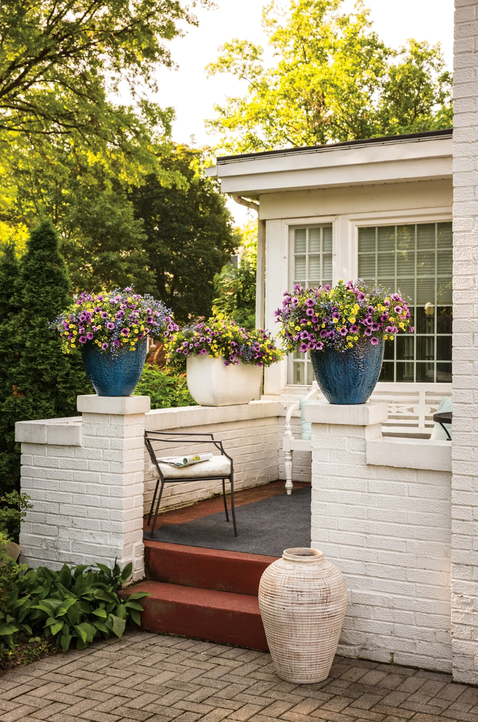Lemon Slice® Calibrachoa — prized for its crisp yellow-and-white pinwheel flowers