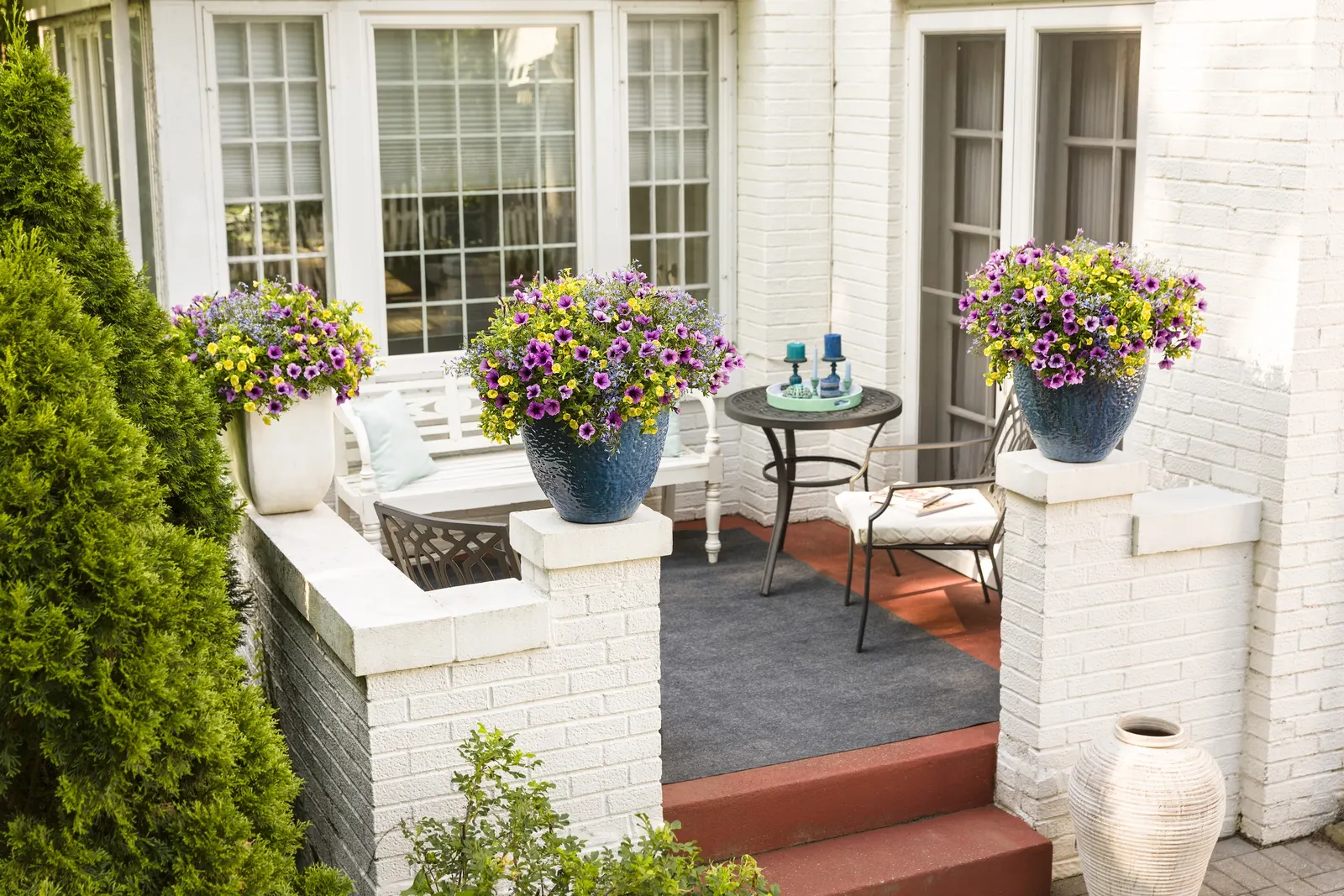 Bordeaux™ II Petunia — They will perform best if an application of controlled release fertilizer is included at the time of planting; purple flowers in the