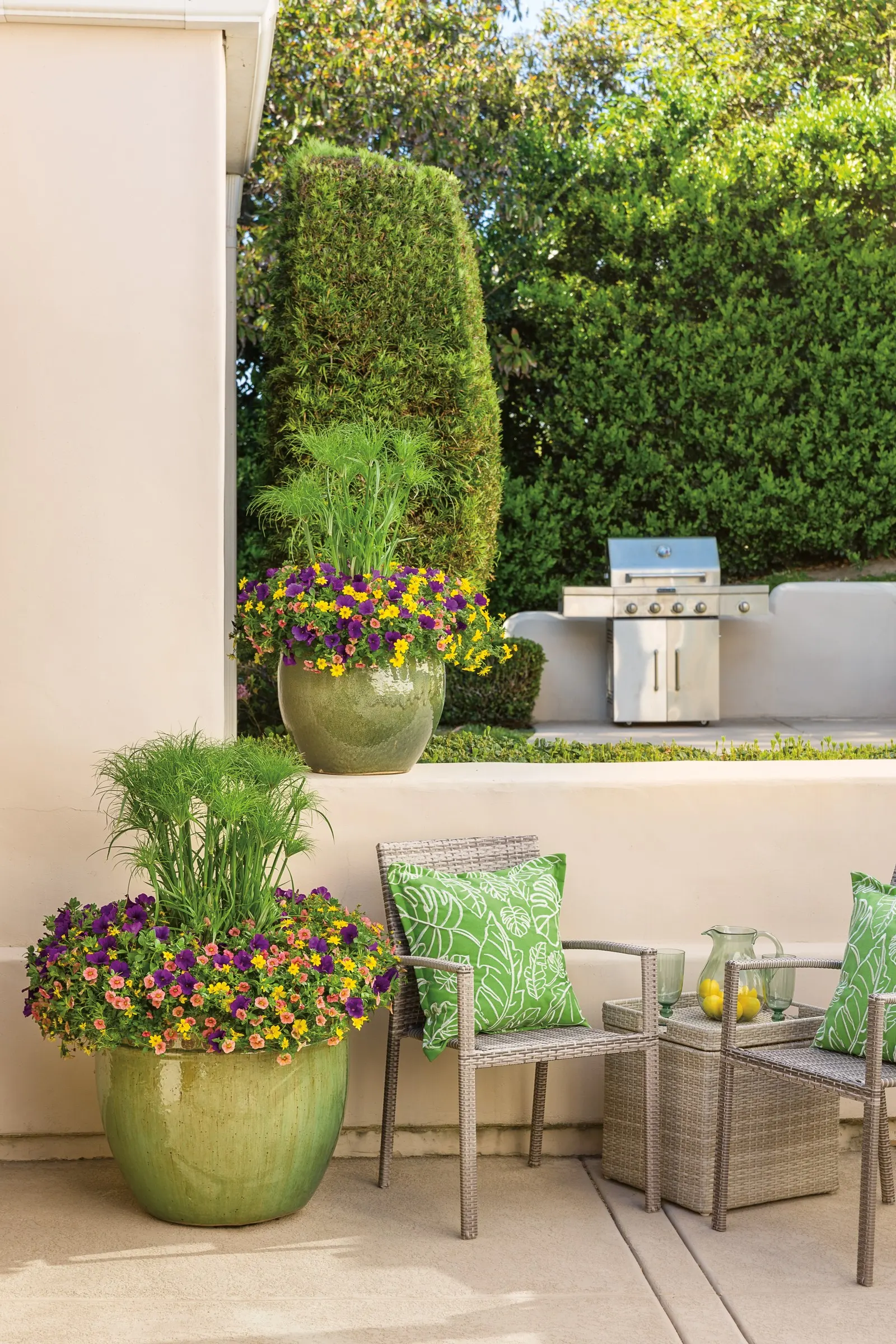 Coralina Calibrachoa — is a mounding-trailing annual from Proven Winners® that brings a warm