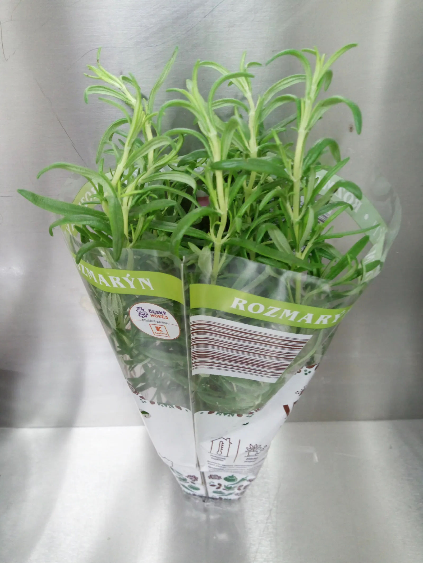 Prostrate Rosemary (Rosmarinus Officinalis 'Prostratus') — and the plant boasts pale blue to lilac flowers from late winter to early spring; <br><br>