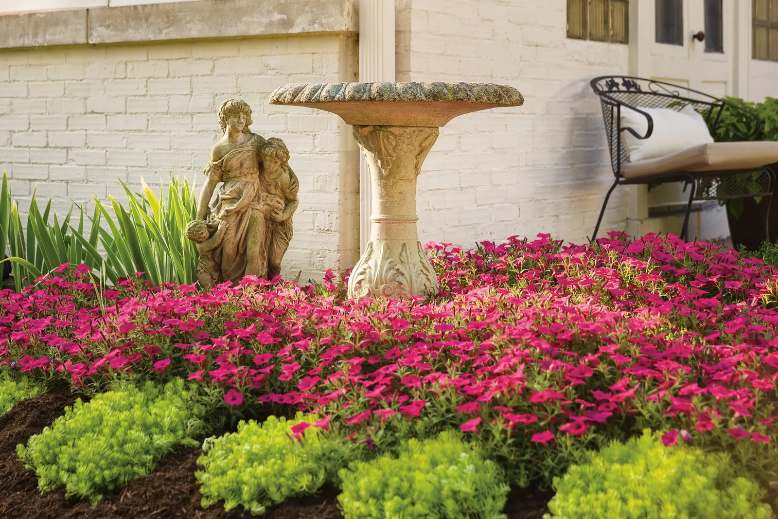 Fuchsia II Petunia — so incorporating a controlled-release fertilizer at planting helps sustain the show