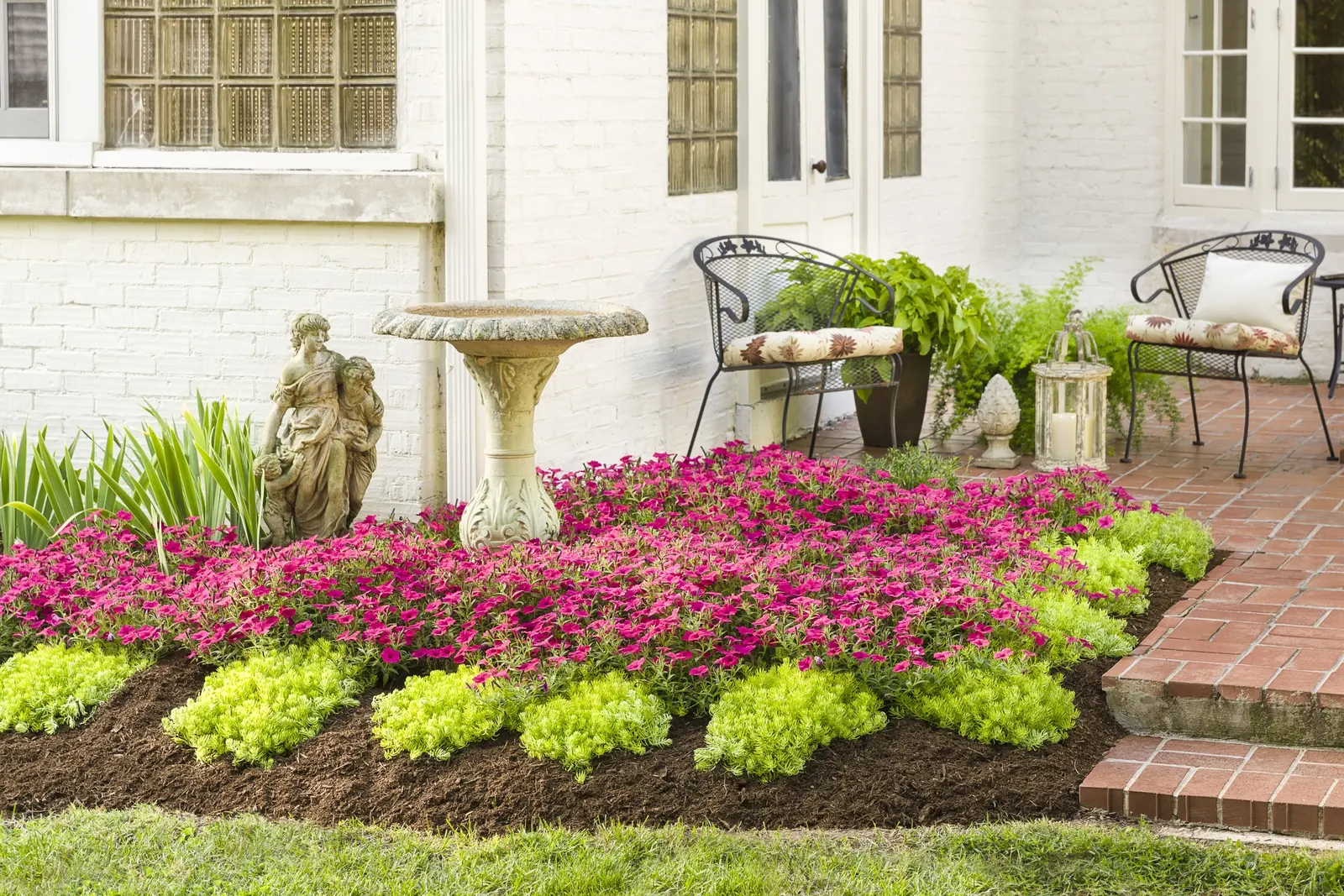 Lemon Coral® Sedum (Sedum mexicanum) — although if you are lucky it may bloom as well.; this easy-care annual sedum can take the heat and drought, image 96