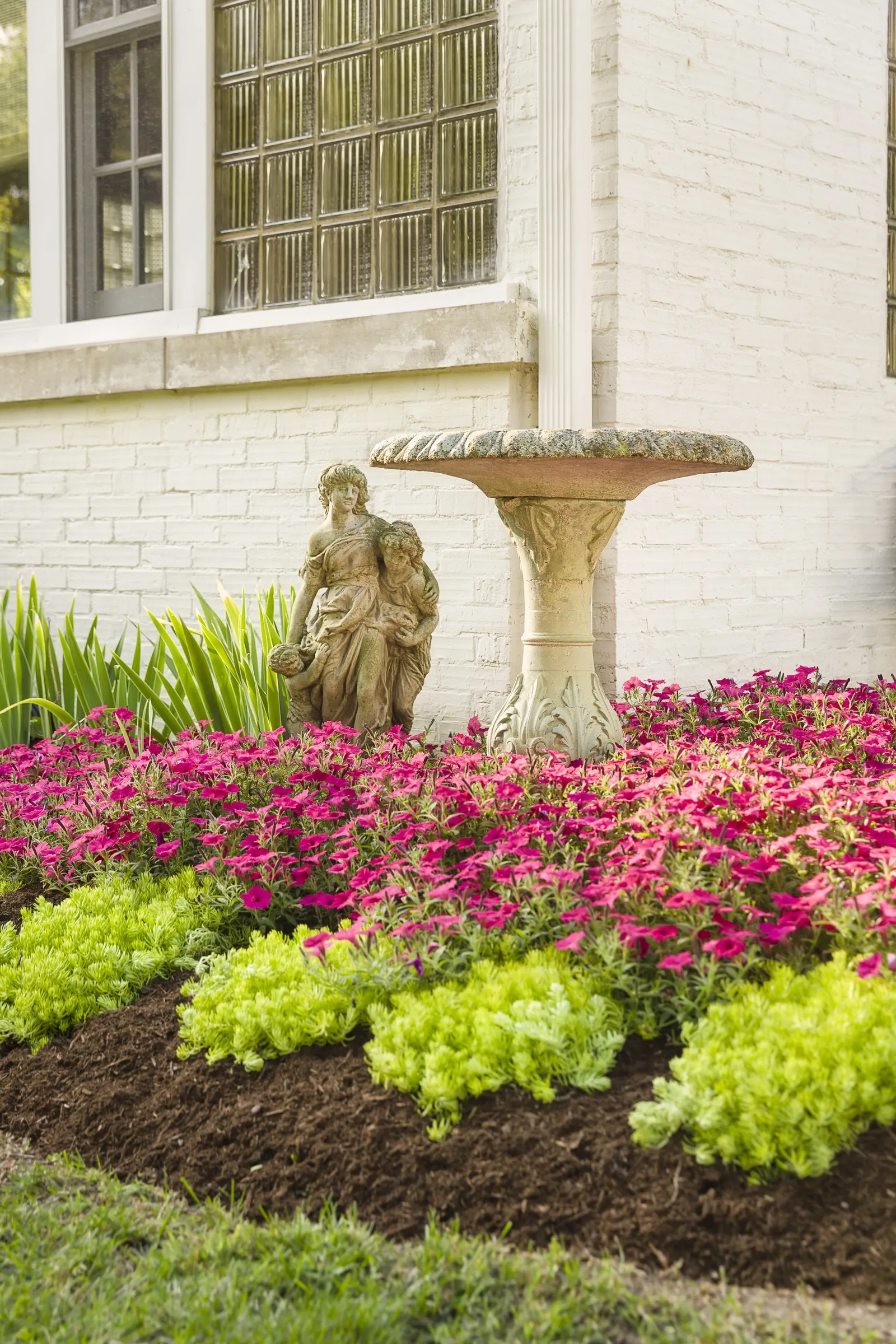 Fuchsia II Petunia — Containers benefit from more regular feeding, especially in long summer seasons