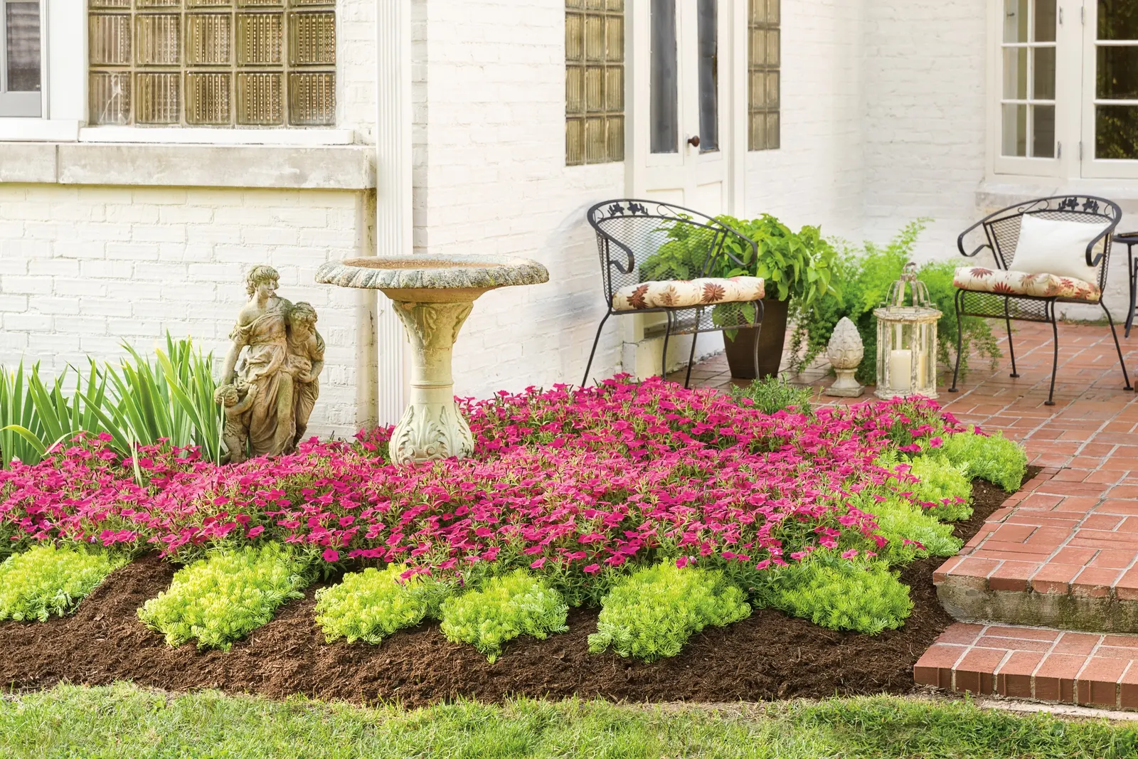 Fuchsia II Petunia — Fuchsia II reaches 12-24 inches tall and spreads 24-36 inches, often spilling over containers