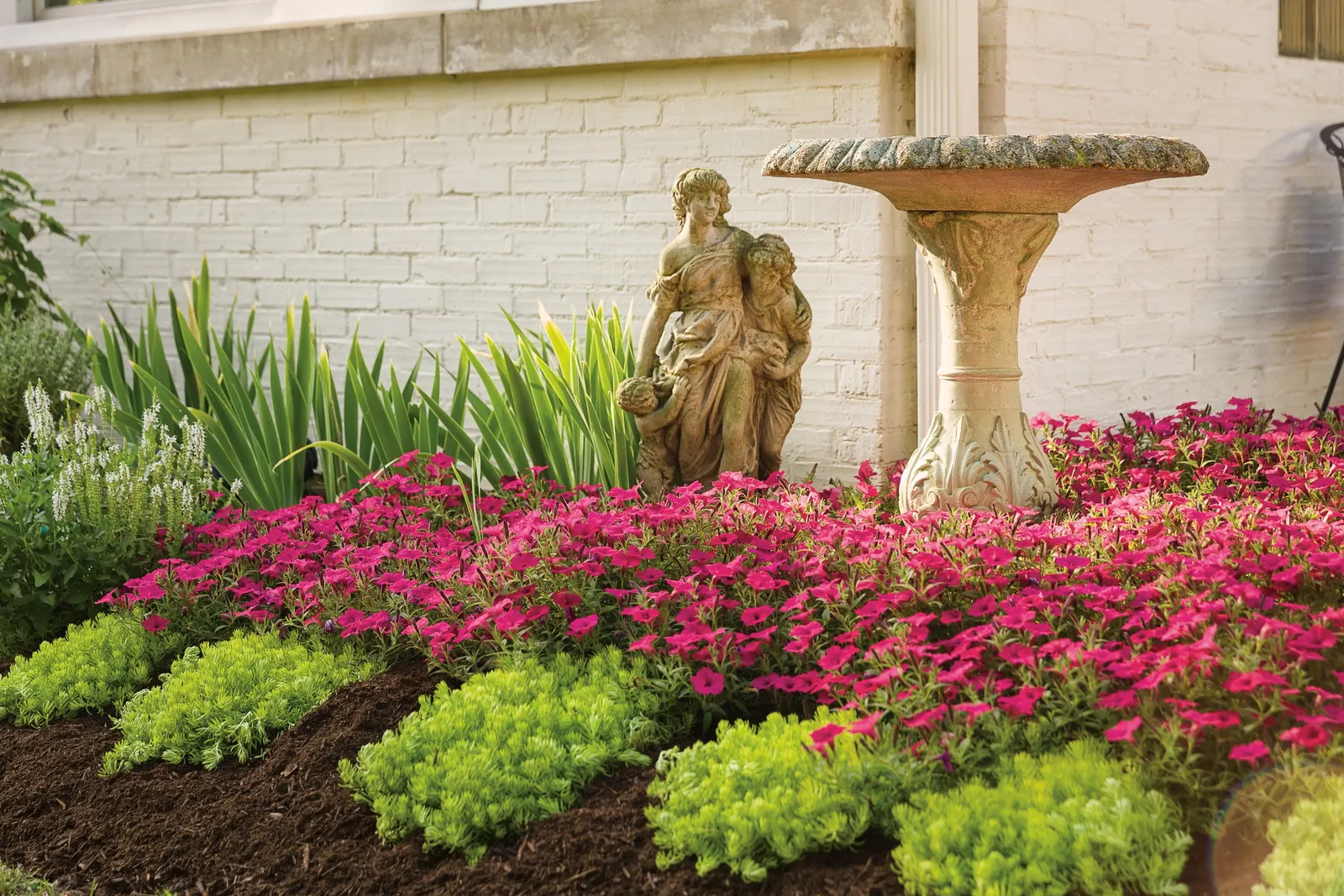 Fuchsia II Petunia — and its no-deadheading nature makes it especially valuable for high-impact