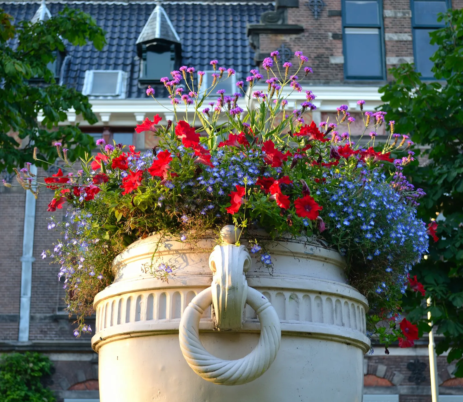 Lobelia (Lobelia Erinus) — flourishes in full sun to part shade; this low-maintenance jewel flourishes in well-drained soil, image 145