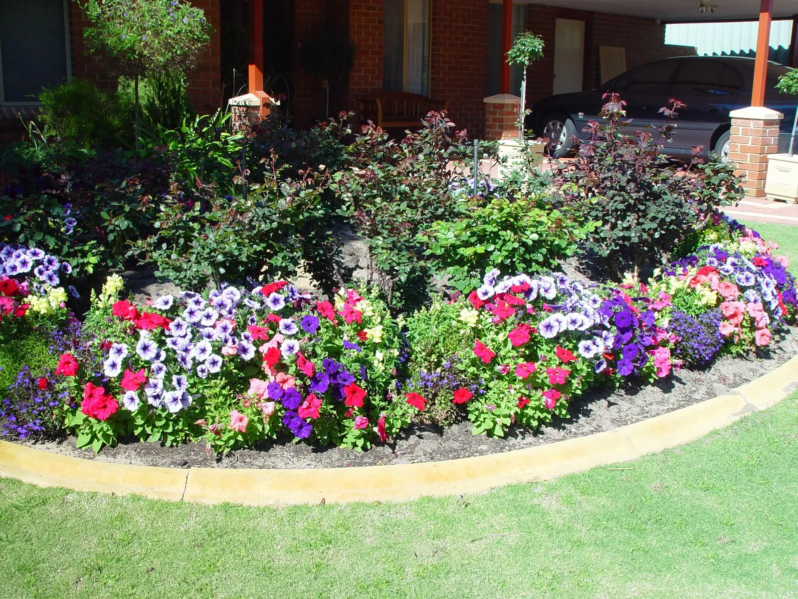 Lobelia (Lobelia Erinus) — This low-maintenance jewel flourishes in well-drained soil; flourishes in full sun to part shade, image 124