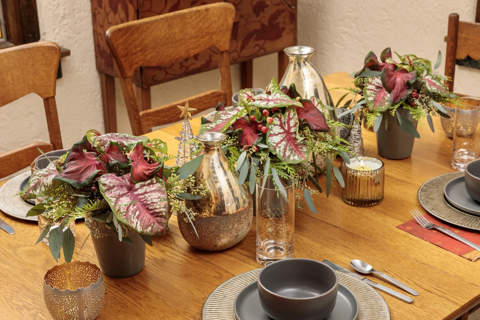 'Hot 2 Trot' Sun and Shade Caladium (Caladium hortulanum) — it performs as a heat-loving annual or seasonal houseplant