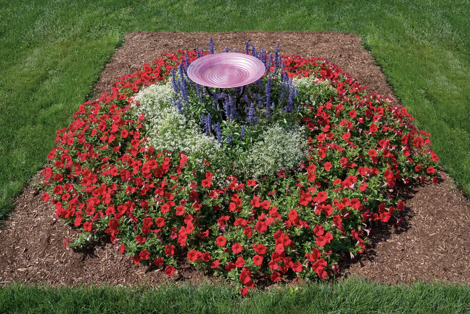 Really Red II Petunia — It grows 4-12 inches tall and spreads 18-24 inches with a mounding, trailing habit; with supplemental feeding in baskets and patio pots