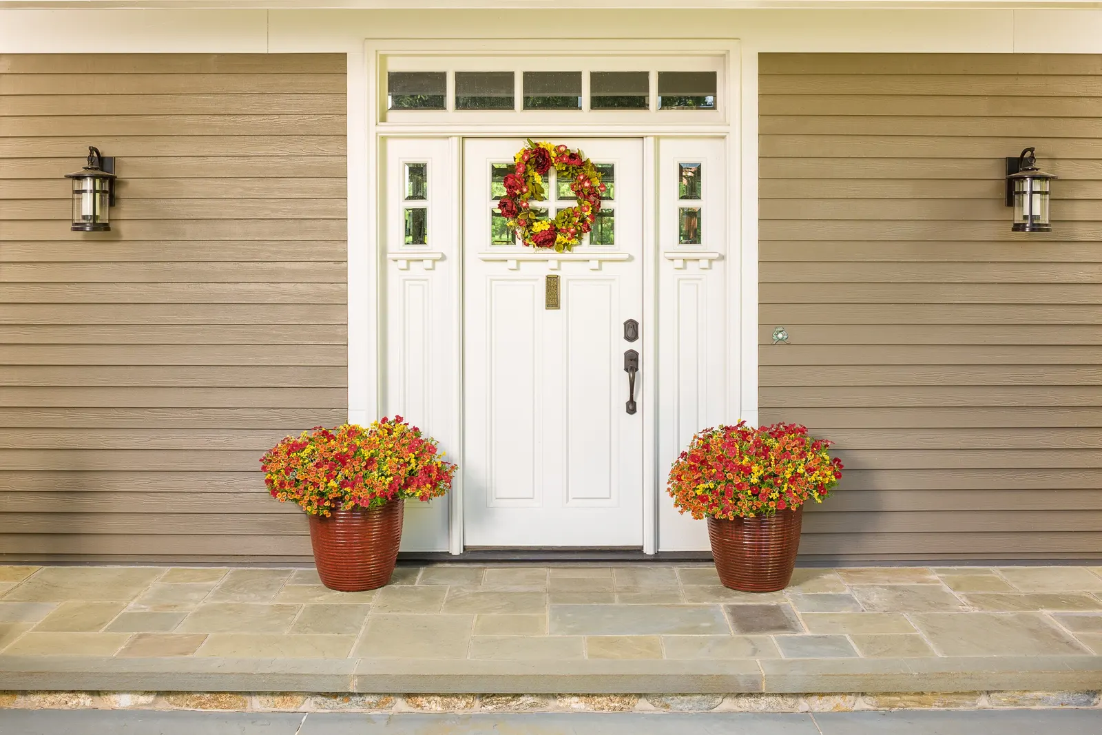 Dreamsicle® II Calibrachoa — filling out beautifully without becoming coarse